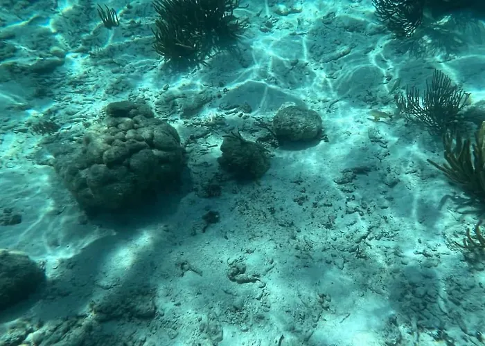White Sands Cove Lodge San Pedro (Ambergris Caye)