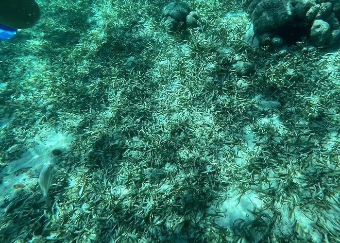 White Sands Cove