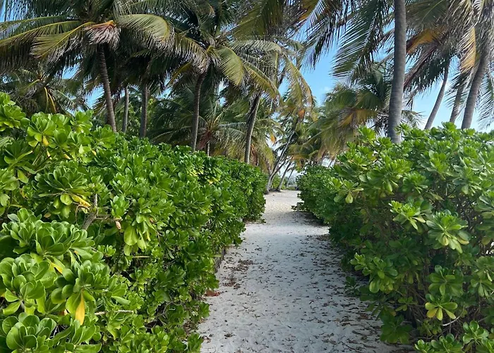 White Sands Cove Lodge San Pedro (Ambergris Caye)